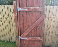 timber for free