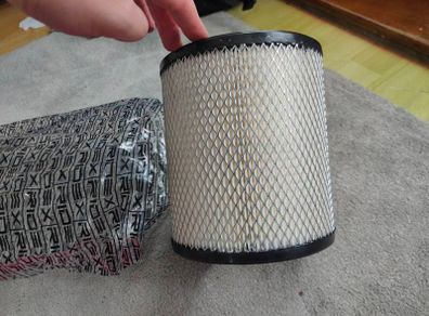 RIDEX Air Filter