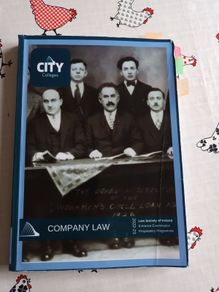 Fe1 company law manual