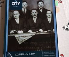 Fe1 company law manual