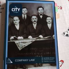 Fe1 company law manual