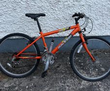 Raleigh Gecko Junior Mountain Bike