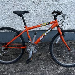 Raleigh Gecko Junior Mountain Bike