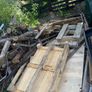 Free Timber Image 3