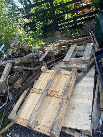 Free Timber
