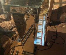 mirrored stand