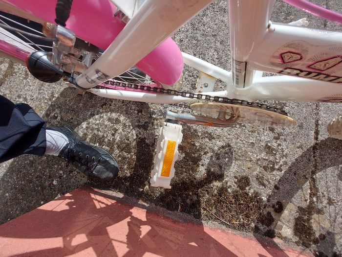 GIRLS BIKE (Sparkle) with Basket, 20 inch wheels, in excellent condition. See Pictures