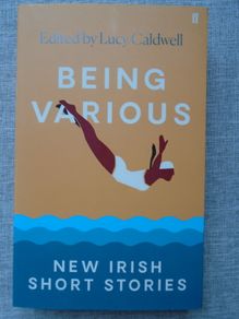 Being Various,New Irish short stories, Paperback book, Short stories, Fiction, Book
