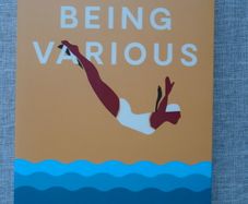 Being Various,New Irish short stories, Paperback book, Short stories, Fiction, Book