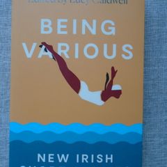 Being Various,New Irish short stories, Paperback book, Short stories, Fiction, Book