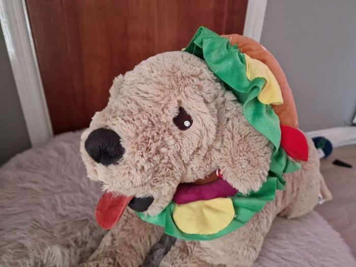 dog cloth