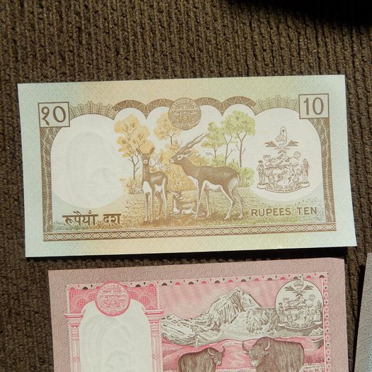 Nepal,lot of 4 Uncirculated Banknotes.1981-.