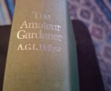 The Amateur Gardener