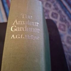 The Amateur Gardener