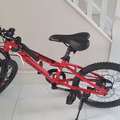 Bicycle kids