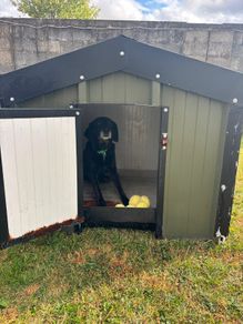dog kennel