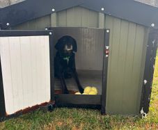 dog kennel