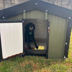dog kennel