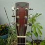 Leewald 12 fret wood resonator guitar Image 3