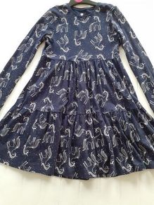 Girl dress 12/13