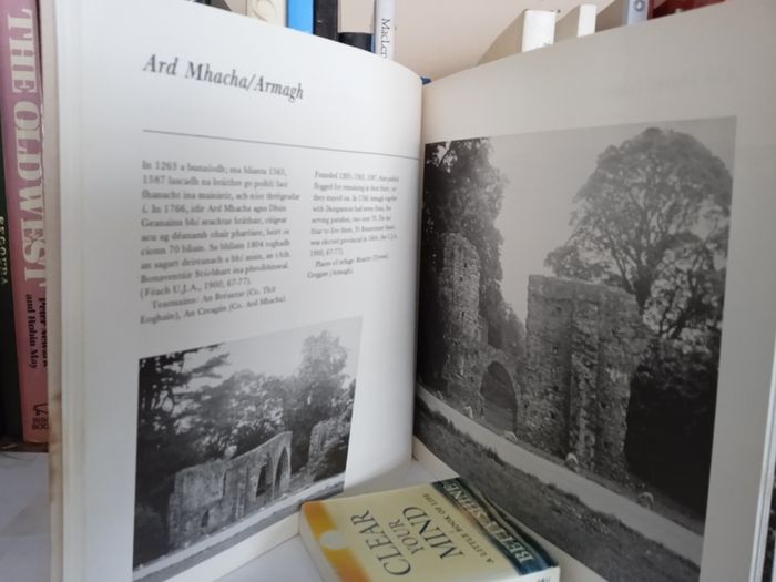 A Pictorial Guide to the Irish Franciscan First Order Foundation: Eolai Pictiurtha do Fhonduireachtai na bhFroinsiasach Eireann den Chead Ord by Frederic Mac Donncha (LP131)