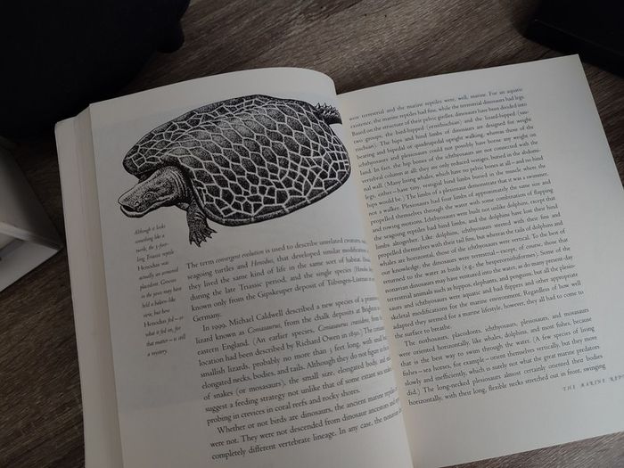 Sea Dragons: Predators of the Prehistoric Oceans ! 2003 ! by University Press of Kansas !