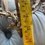 Antique style brass lantern ceiling light Image 9