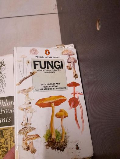 Gardening and DIY Books