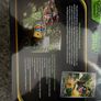 Pokemon Elite Image 2