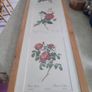 Framed Tripl Photo Of Roses Prints Image 7
