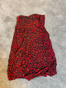Zara Skirt