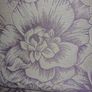 Roman Blind Image 2