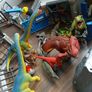 schleich dinosaur Image 2