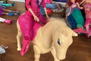 Barbies bundle, including horse