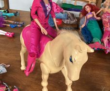 Barbies bundle, including horse