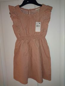 BNWT, Pumpkin Patch dress