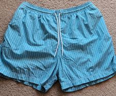 Blue/White Stripe Swim Shorts
