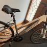 bik Image 4