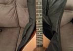 Irish bouzouki.