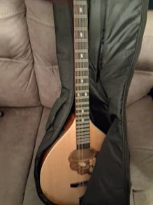 Irish bouzouki.