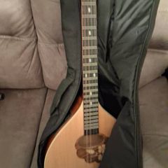 Irish bouzouki.