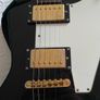 Epiphone Korina 2007 Image 7
