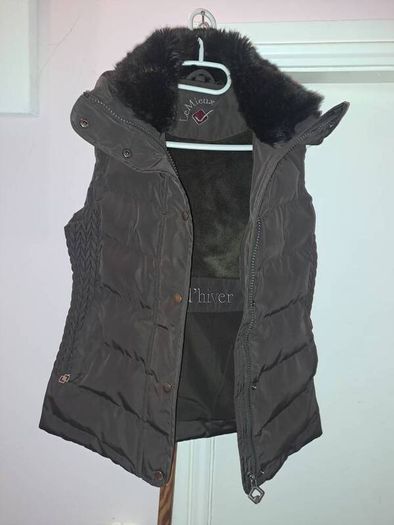 equestrian