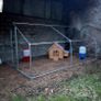 Chicken Coop with 50L auto watering and feeding Image 3