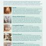 Hamster Care Guide Image 5