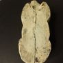 Vintage Rustic Cast Iron Pig Bank Image 5