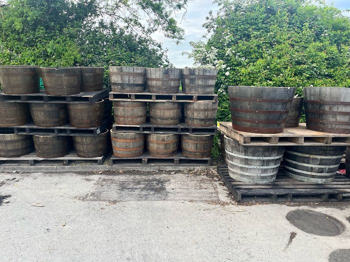 oak barrel planters