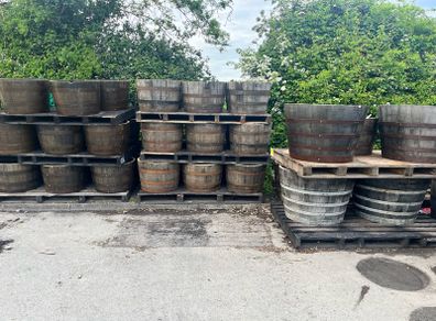 oak barrel planters