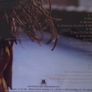 India. Arie - Acoustic Soul CD Image 2