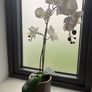 IKEA Artificial Plant + Pot Image 4